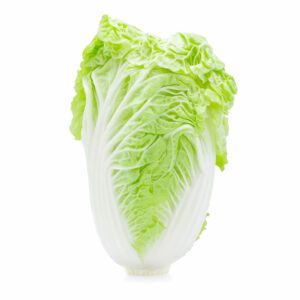 Fresh chinese cabbage on a white background