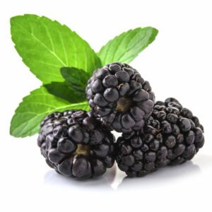 Closeup shot of fresh blackberries. Isolated on white background.
